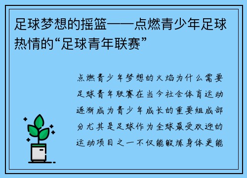 足球梦想的摇篮——点燃青少年足球热情的“足球青年联赛”