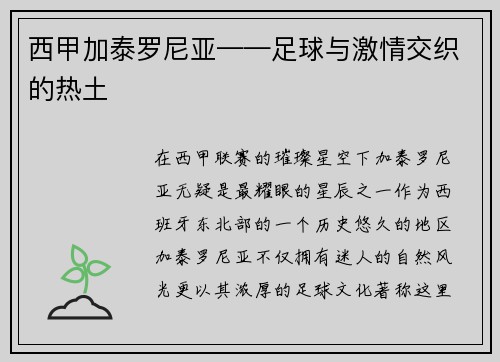 西甲加泰罗尼亚——足球与激情交织的热土