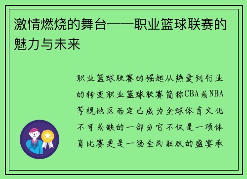 激情燃烧的舞台——职业篮球联赛的魅力与未来
